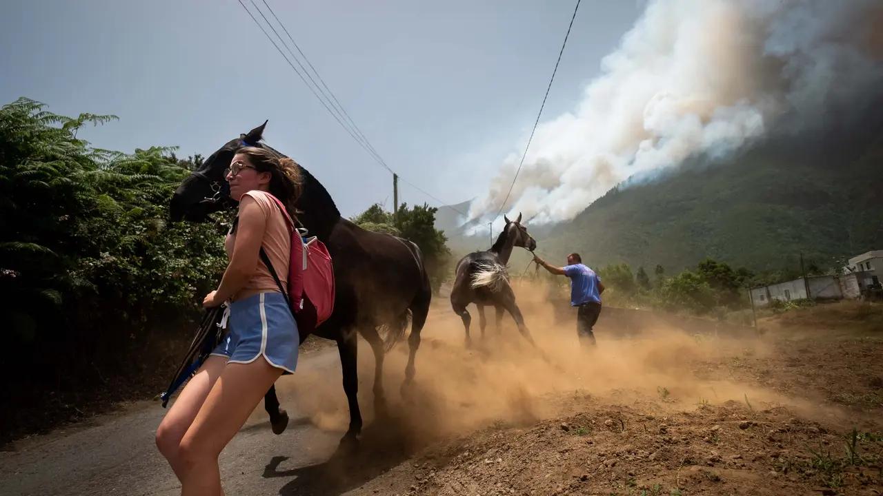 Incendio en Los Realejos, de Fran Pallero
