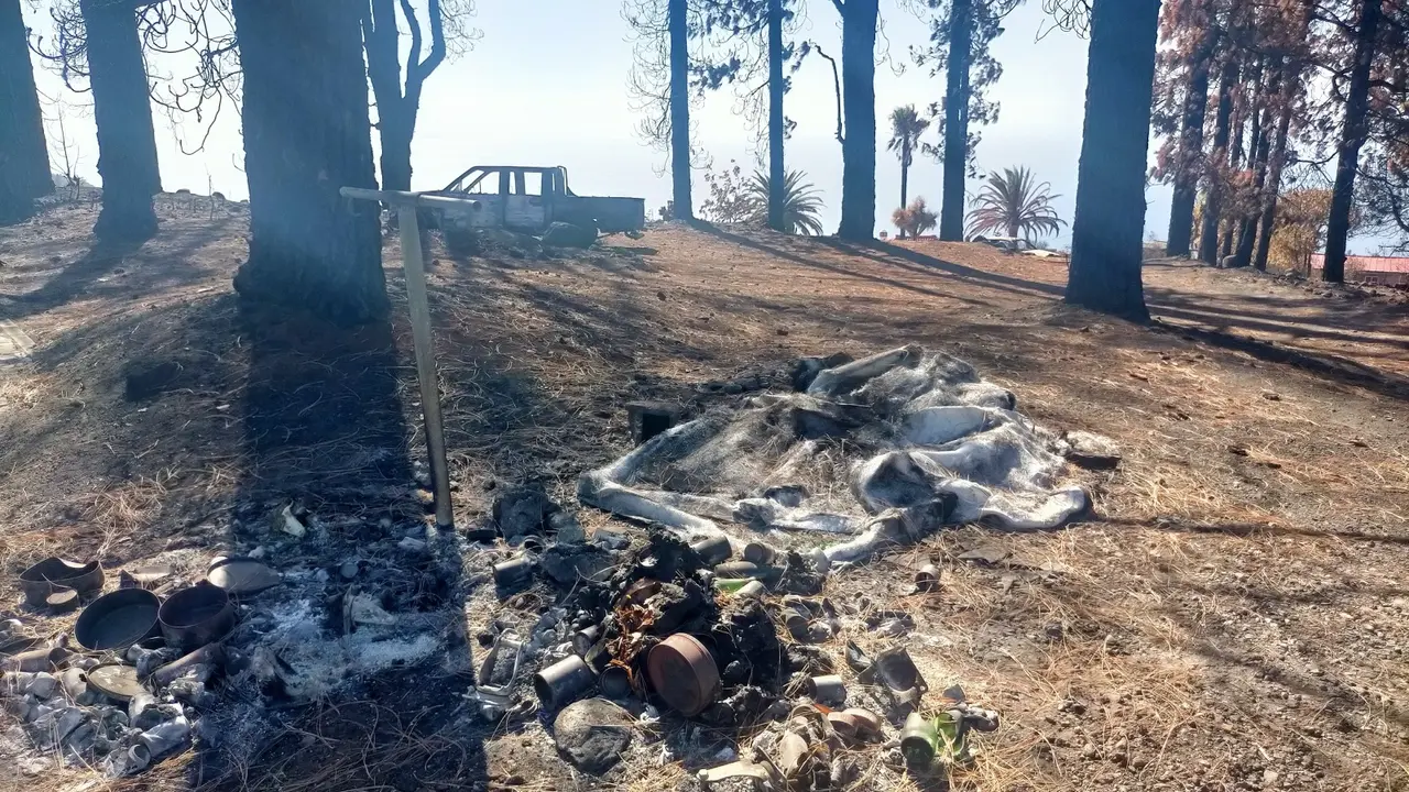 Fuego La Palma