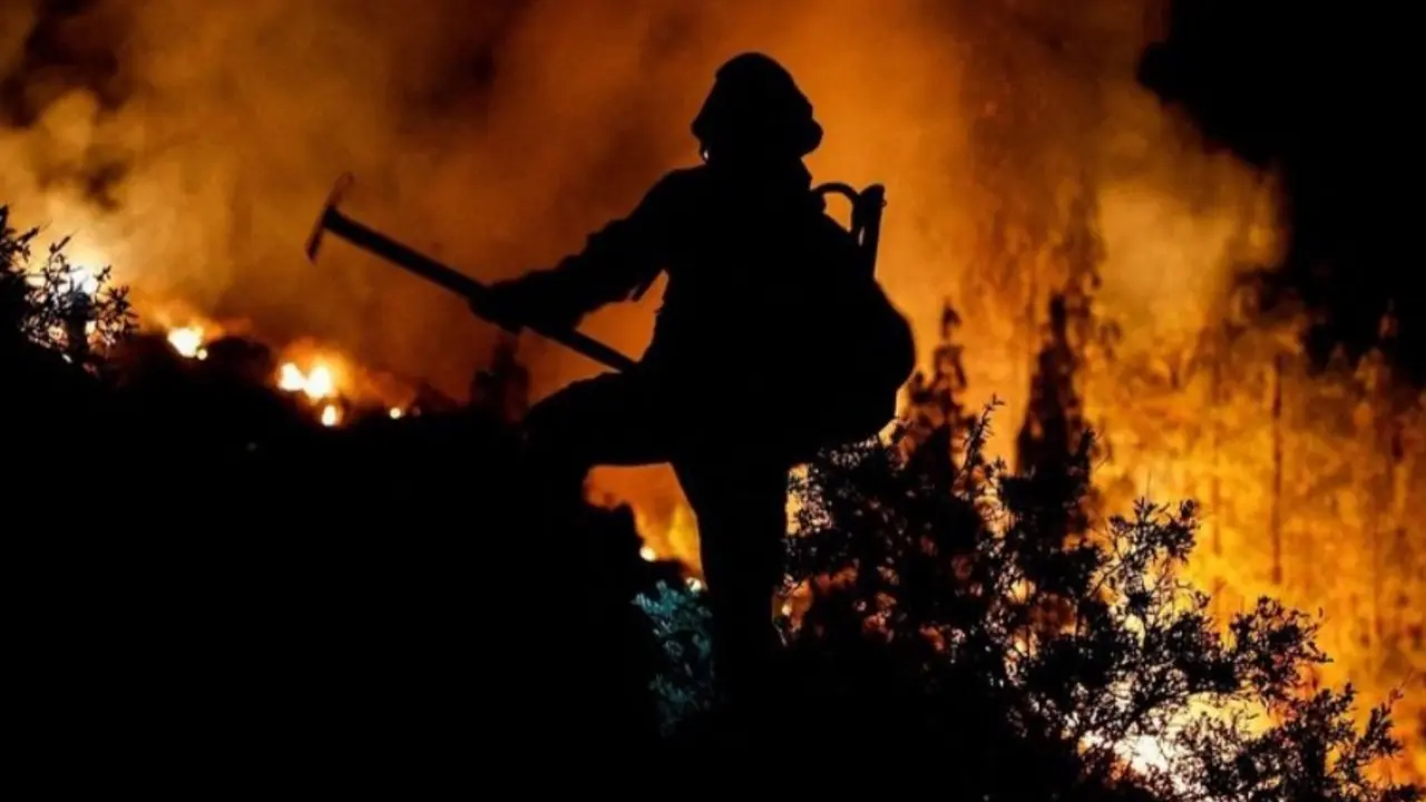 Incendio tenerife Norte
