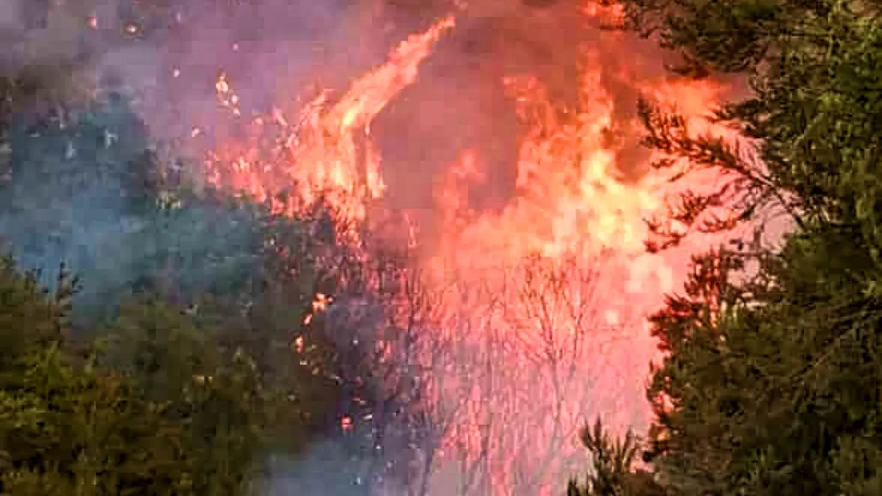 Incendio 2023-08-19-14-33-08 2(1)