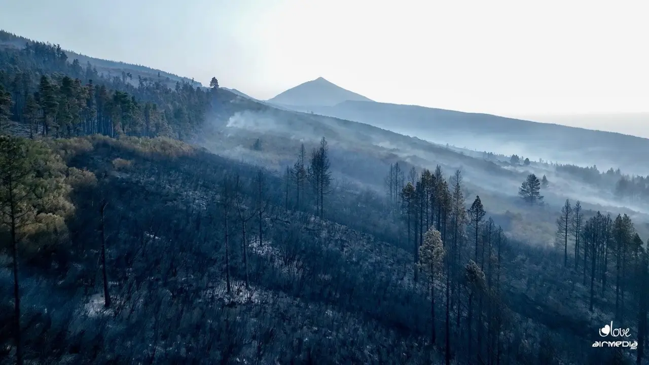 Incendio Tenerife 67519_n (1)(1)