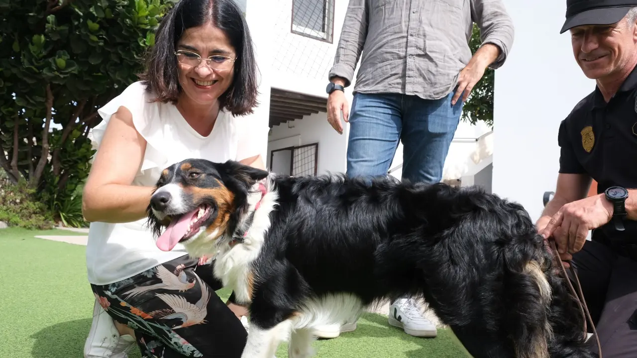 La alcaldesa Darias potenciar&aacute; la Unidad Canina de la Polic&iacute;a Local de Las Palmas de Gran Canaria2(1)
