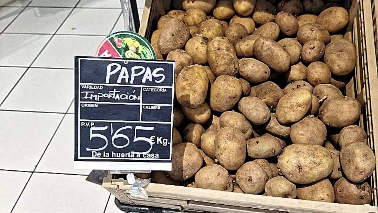 Precio de las papas _2023-09-22-12-07-42-43(1)