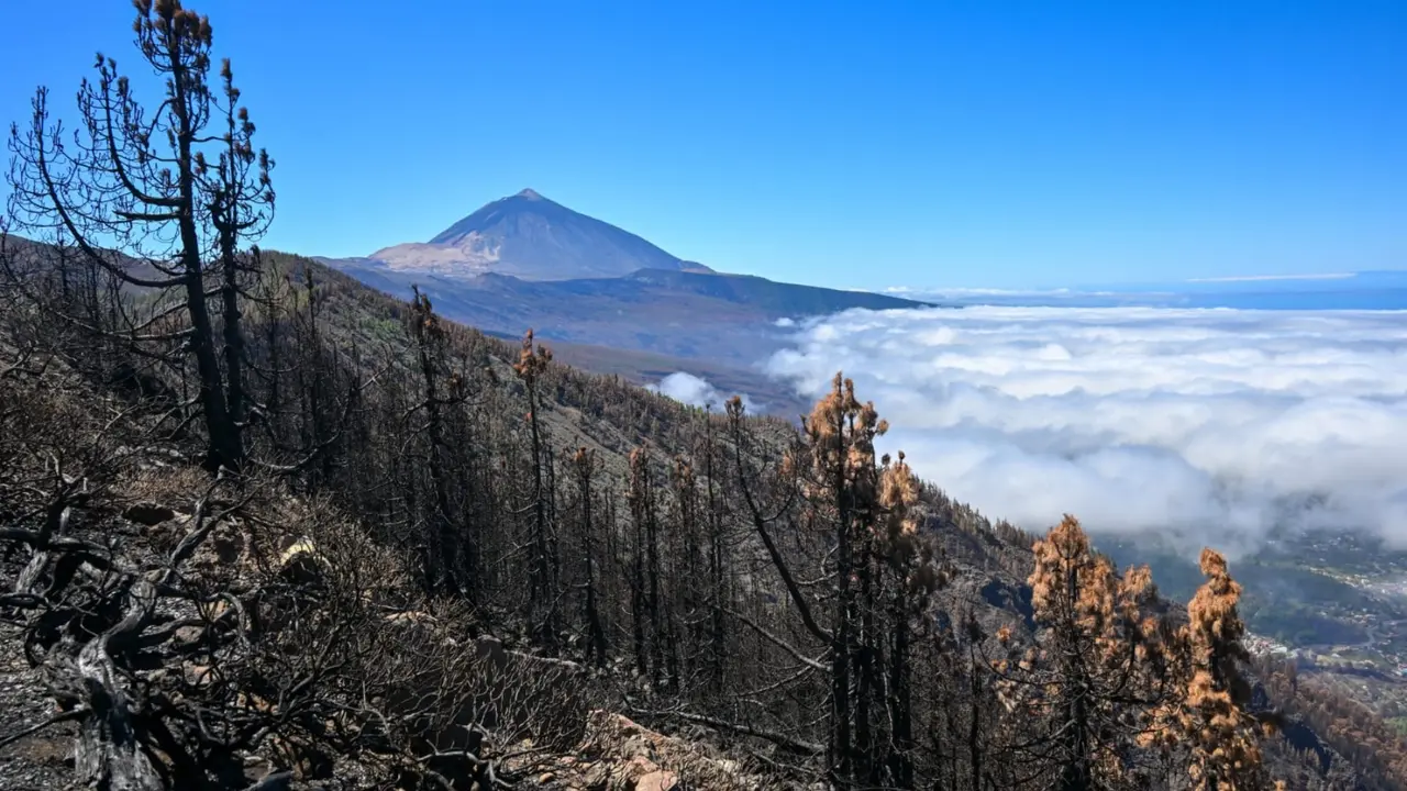 Incendio montes Tenerife 2a00(1)