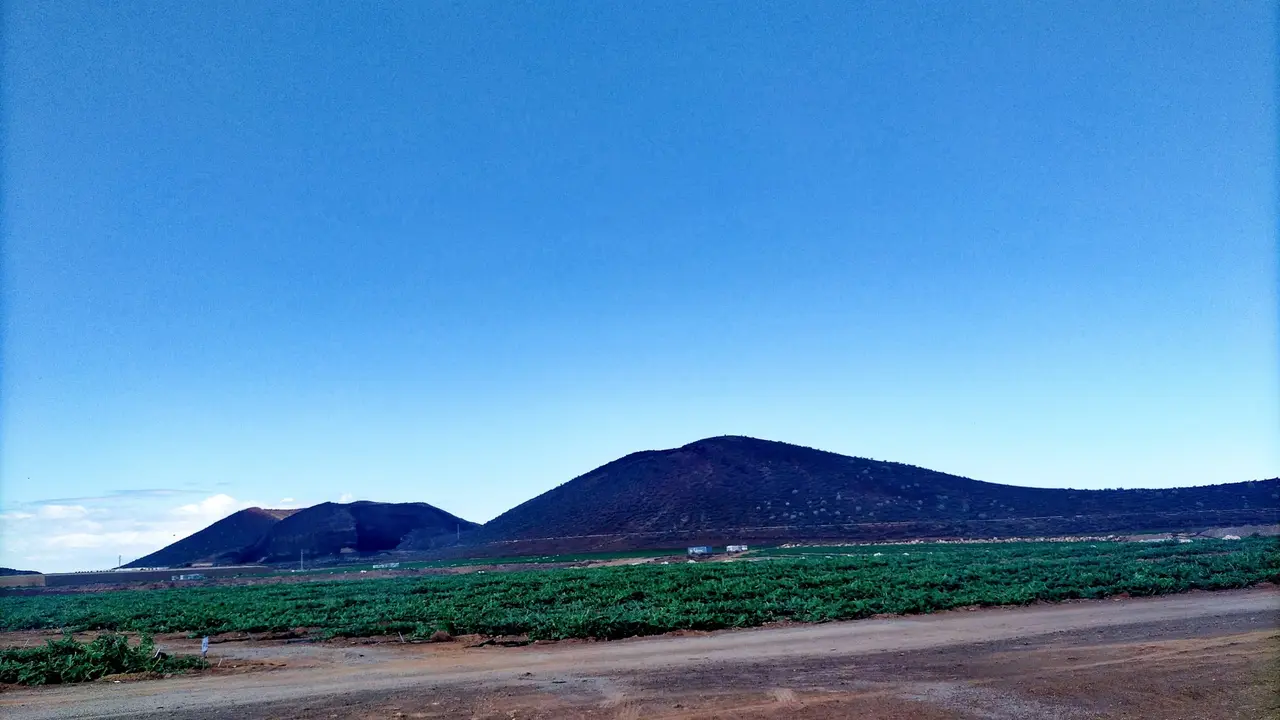 Plantaci&oacute;n cerca de Lomo Negro_190454(1)