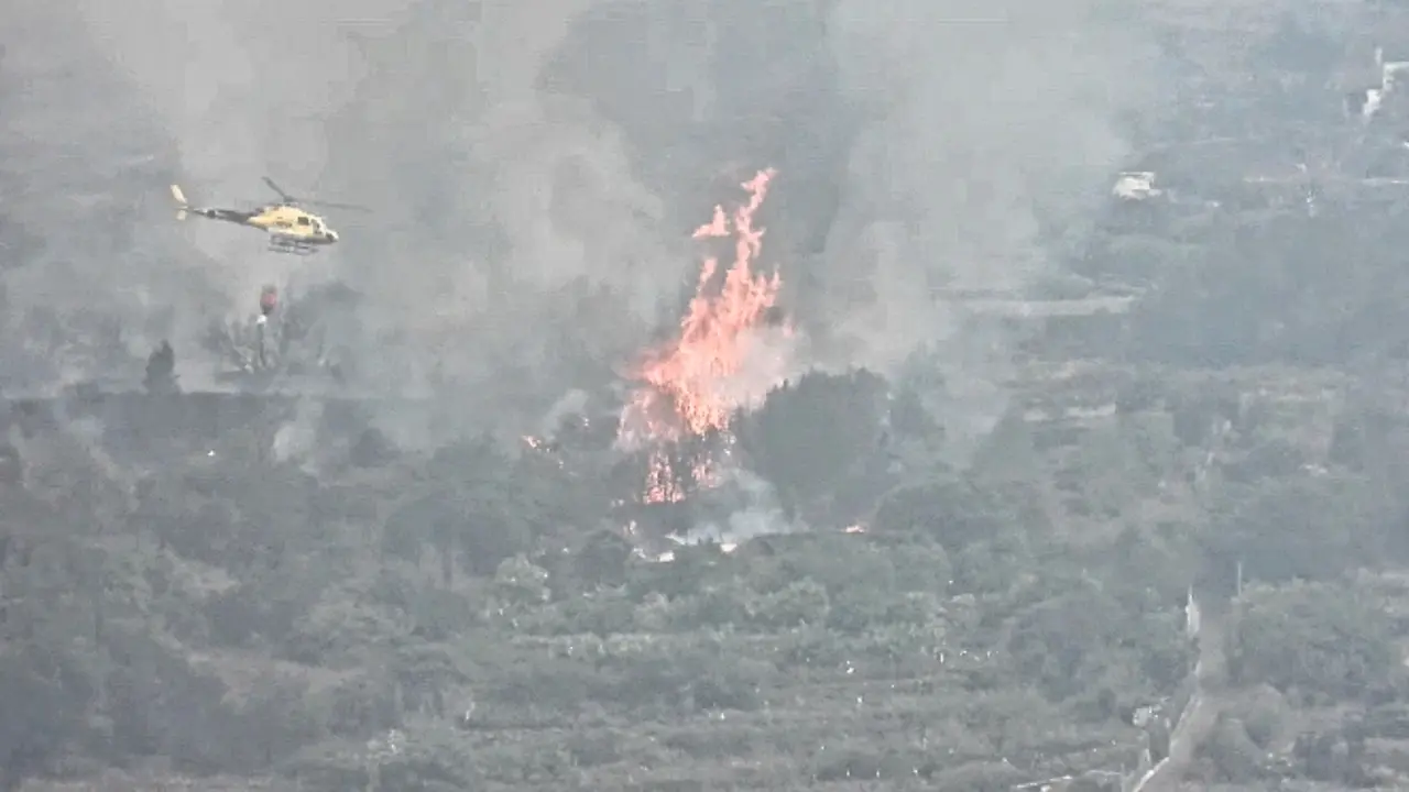 Incendio Tf nofrge _7583(1)