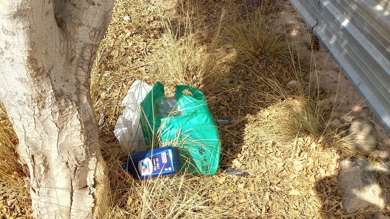 Basura Fraile 1503(1)