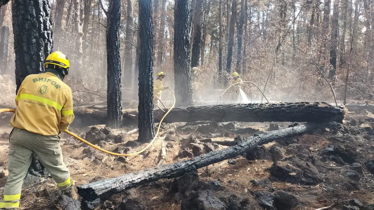 Incendio Briford Trabajos-Domingo 8
