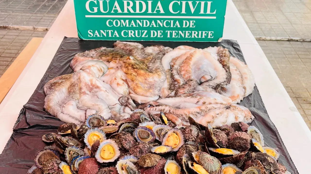 Pulpos y lapas Guerdia Civil