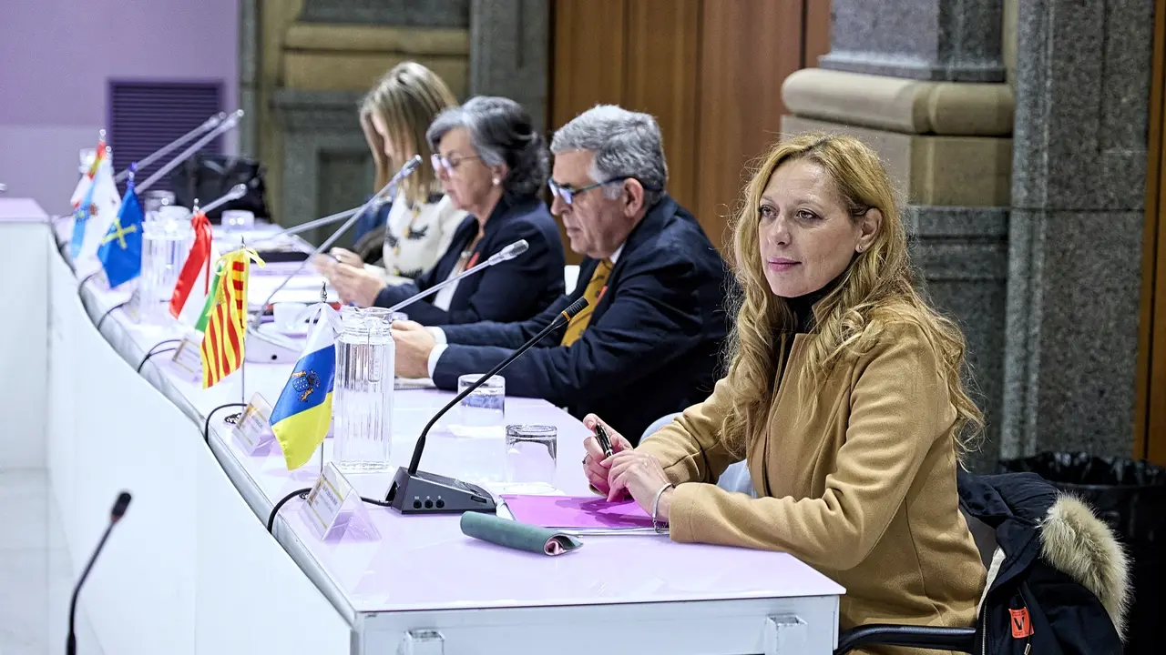 La viceconsejera de Igualdad y Diversidad, Cristina Arceo, ha participado este lunes en la Conferencia Sectorial convocada por el Estado en la que se ha aceptado prorrogar el plazo de ejecuci&oacute;n de los centros hasta el 31 de diciembre de 2024
