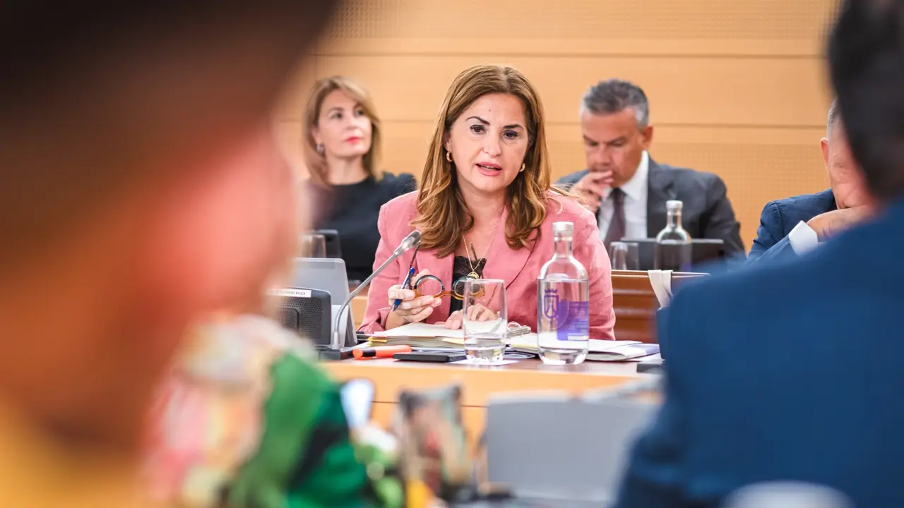 &Aacute;gueda Fumero, consejera Acci&oacute;n Social Cabildo Tenerife-2(1)