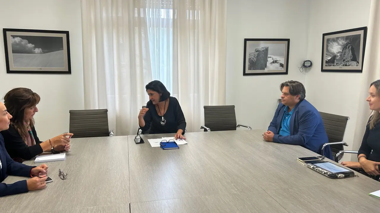 FOTO REUNI&Oacute;N TRANSPORTE A DEMANDA ARICO, G&Uuml;&Iacute;MAR Y FASNIA(1)