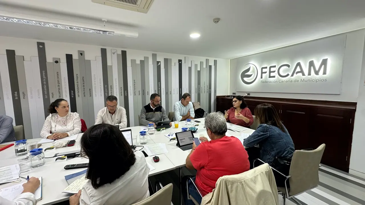 comit&eacute; FECAM 3(1)