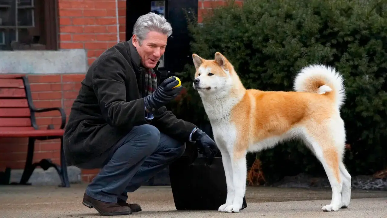 Hachiko-180(1)