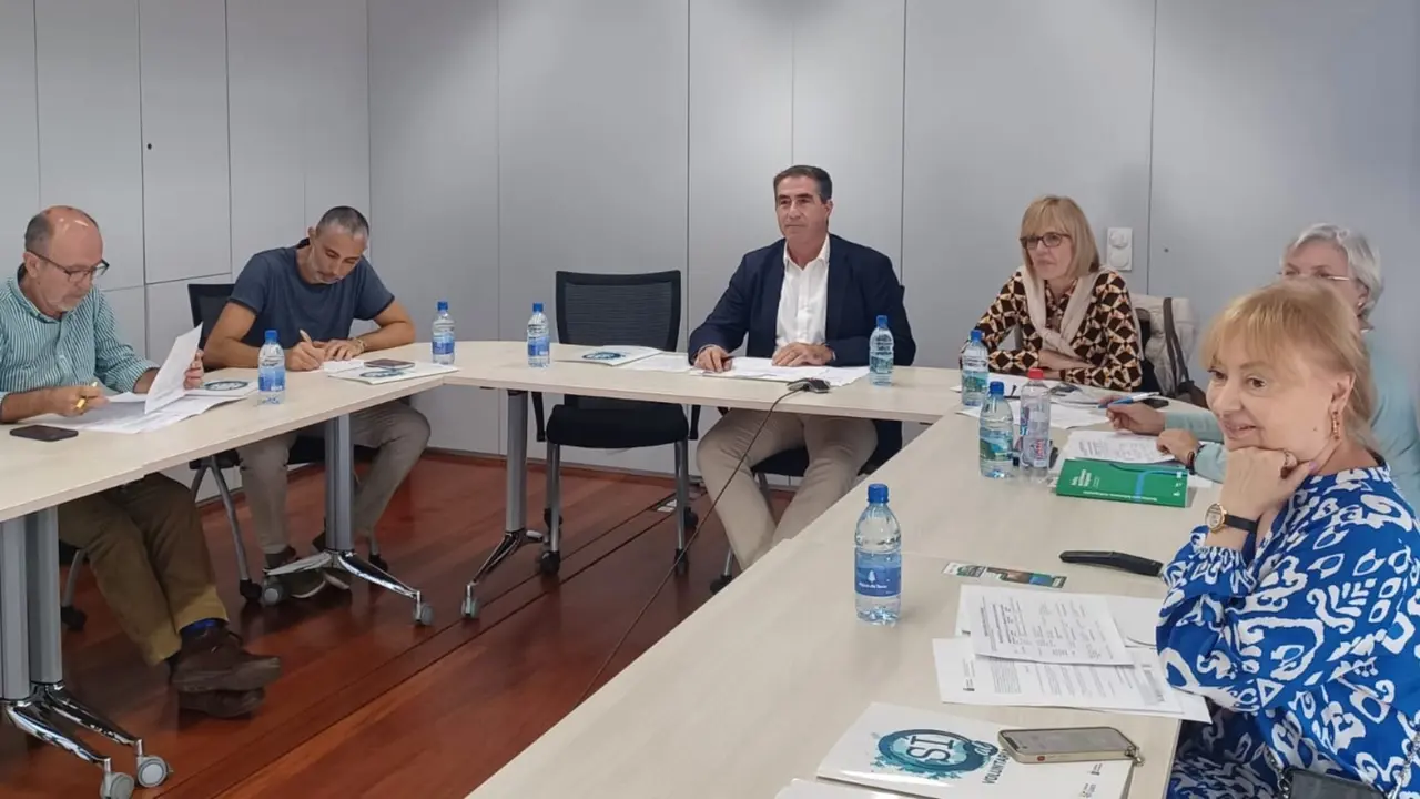 Comisi&oacute;n voluntariado