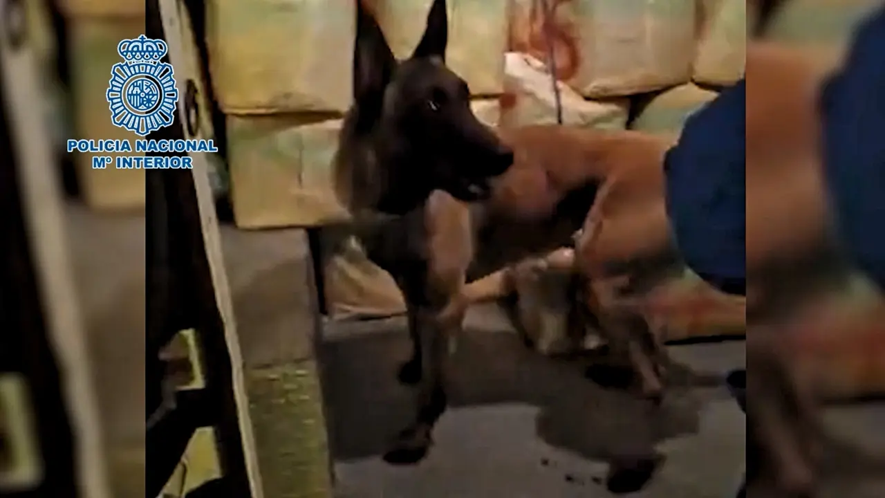 Polic&iacute;a Nacional hachis perro