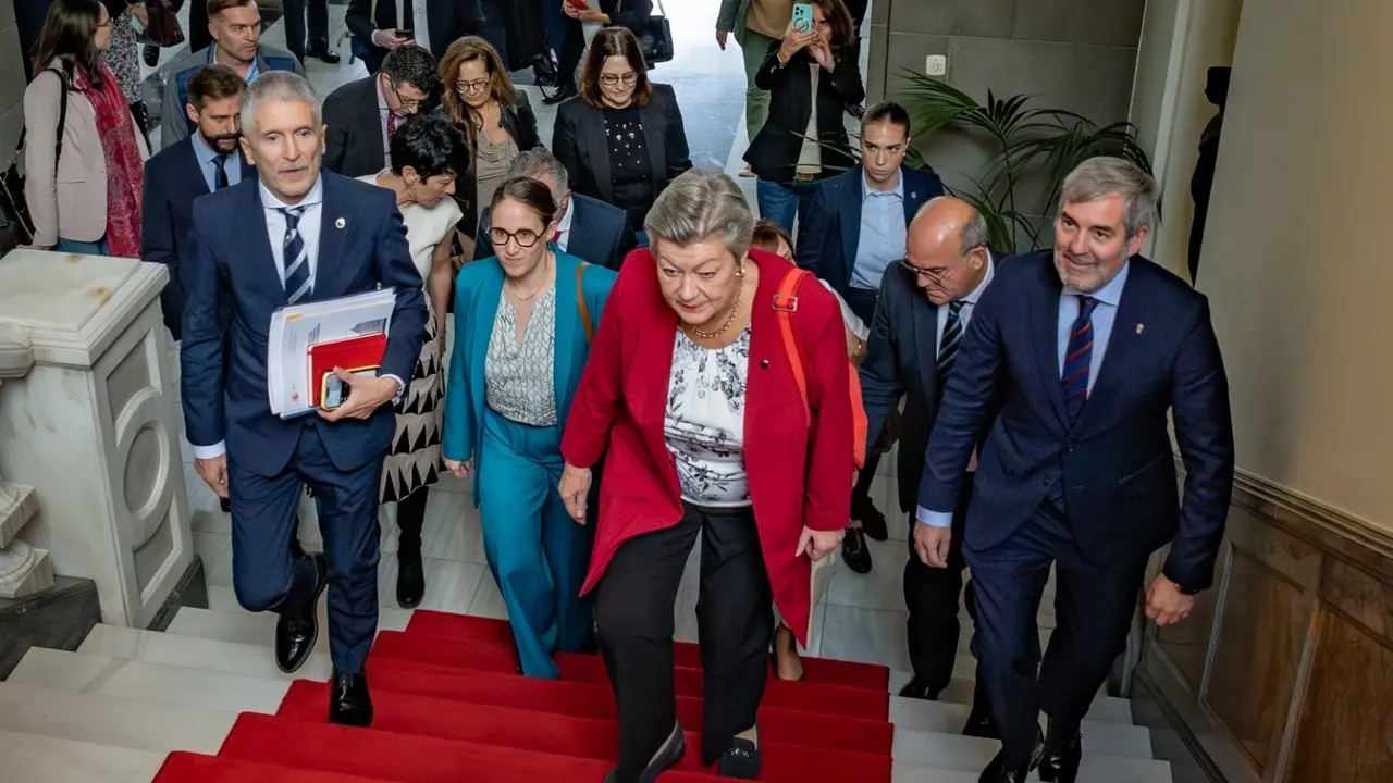 Visita de Johansson 2(1)