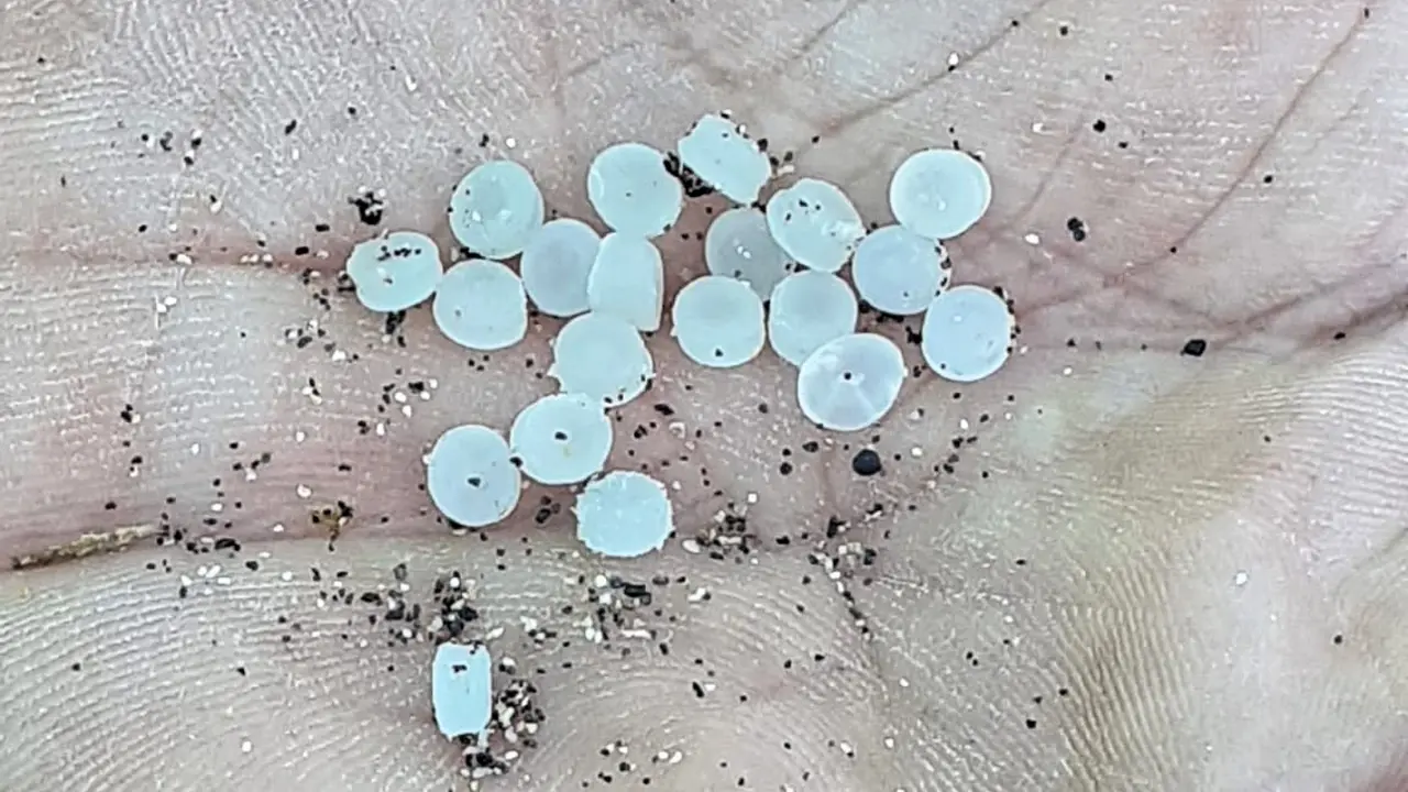 Gr&aacute;nulos de pl&aacute;stico localizados en la costa de Bajamar