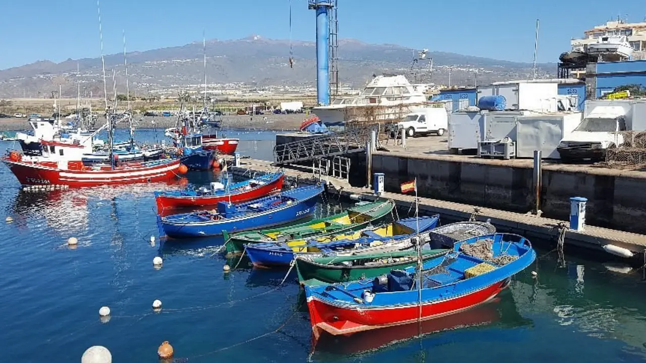 Barcos pesca Las Galletas