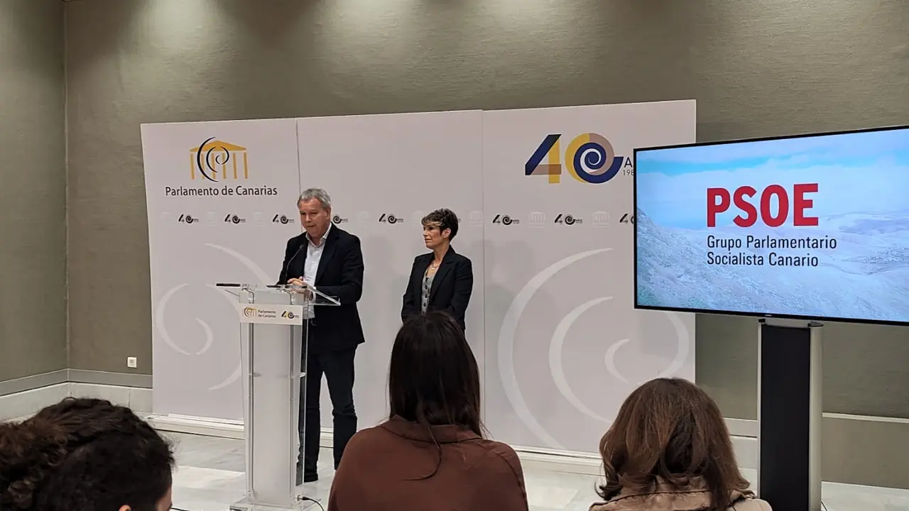 RUEDA PRENSA DATOS DEPENDENCIA CANARIAS Psoe