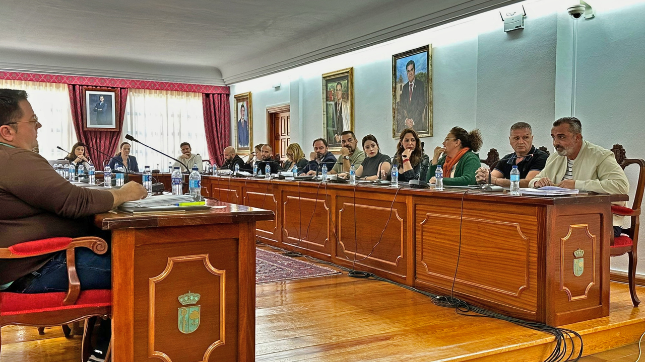 Pleno El Moj&oacute;n Arona