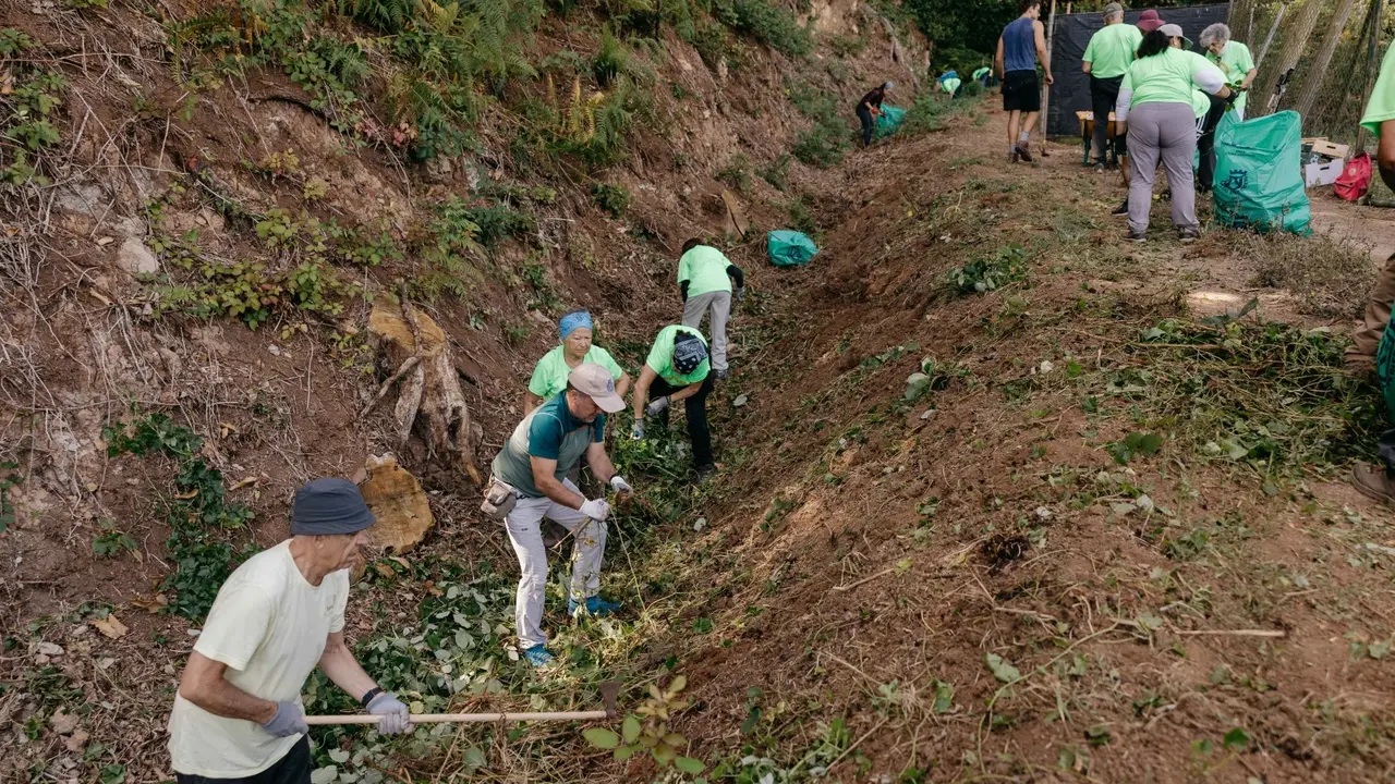 Voluntariado ambiental VA(1)
