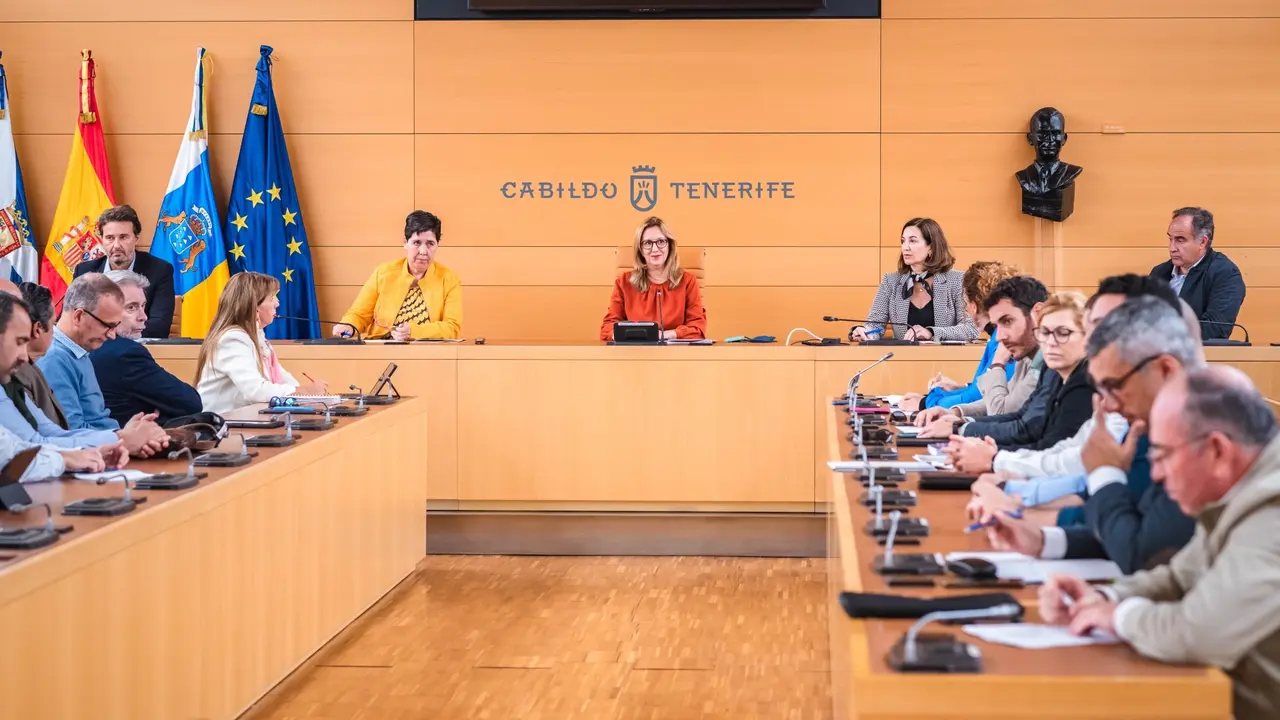 Consejo Insular de Aguas de Tenerife-Junta General-Declaraci&oacute;n Emergencia H&iacute;drica 00(1)