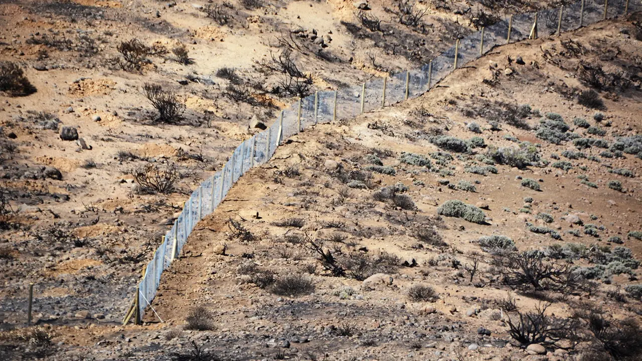 Vallas zona incendio Teide