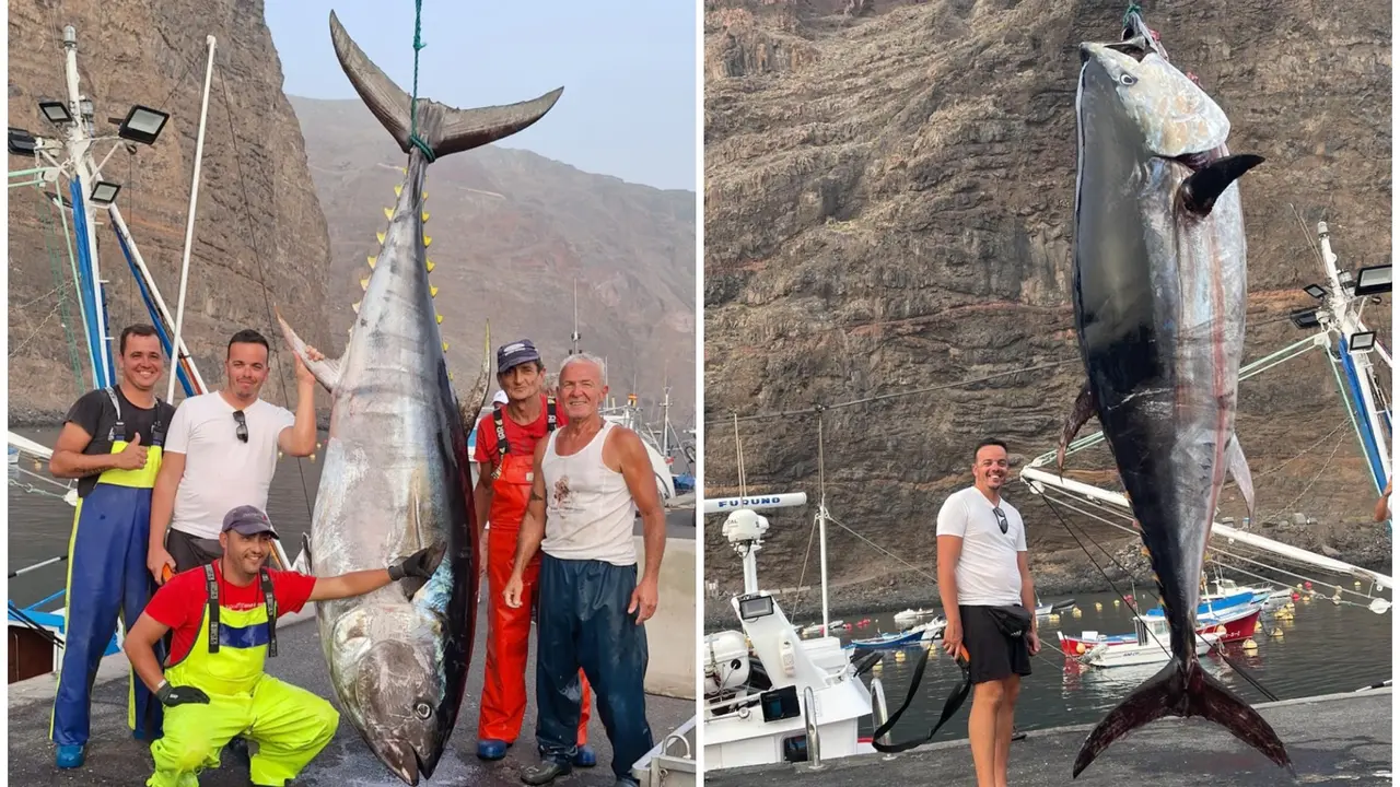 At&uacute;n Rojo La Gomera