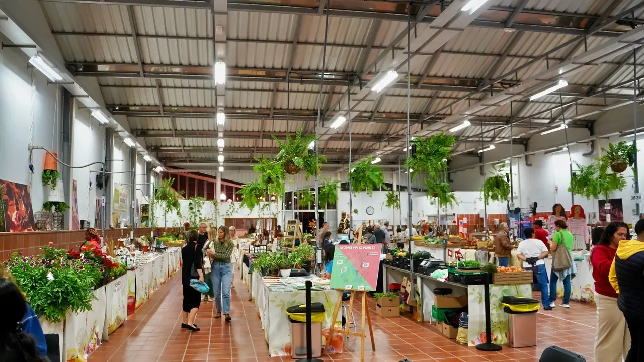 Arona Mercado Agricultor 1(1)