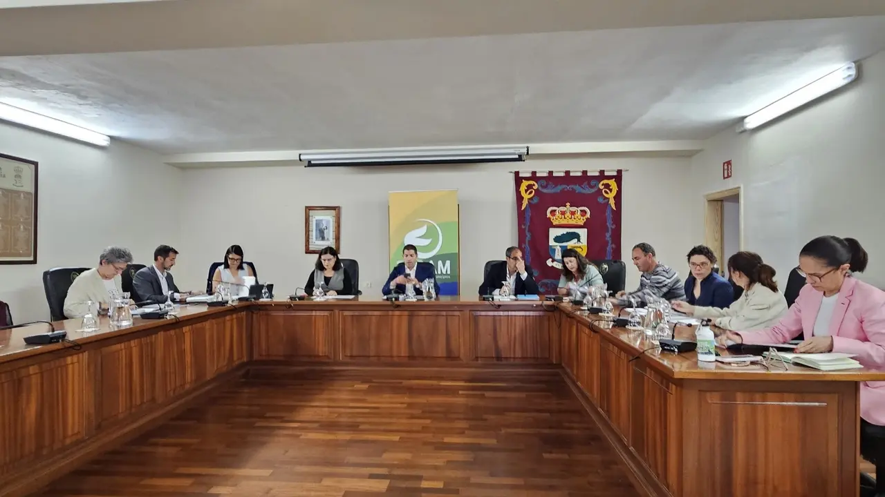 Comit&eacute; Insular El Hierro (1)
