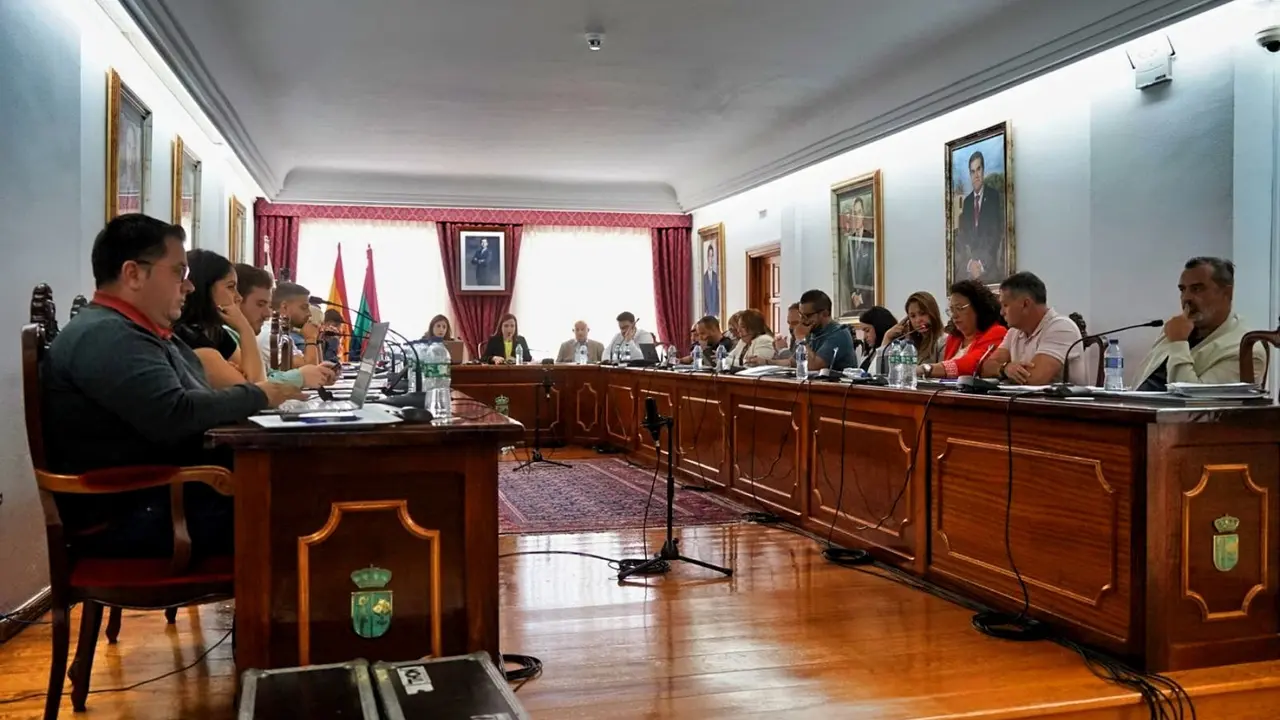 Pleno Arona 29 Mayo(1)