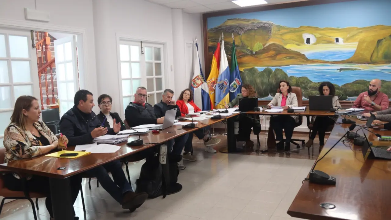 Arico gobierno municipal durante un pleno(1)