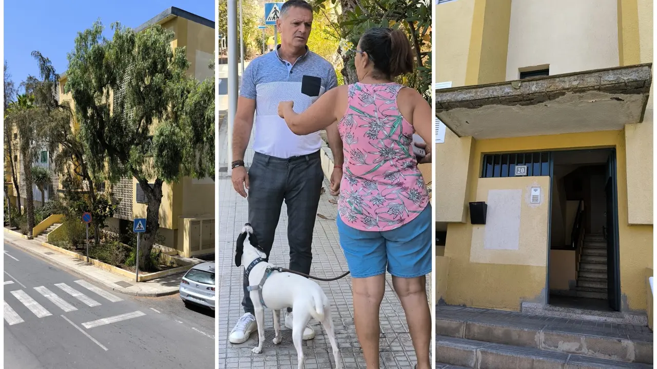 Viviendas San Mart&iacute;n de Porres M&aacute;s X Arona
