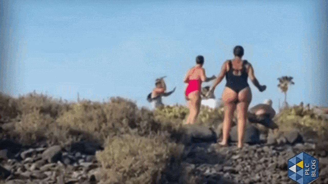 GIF+01.gif