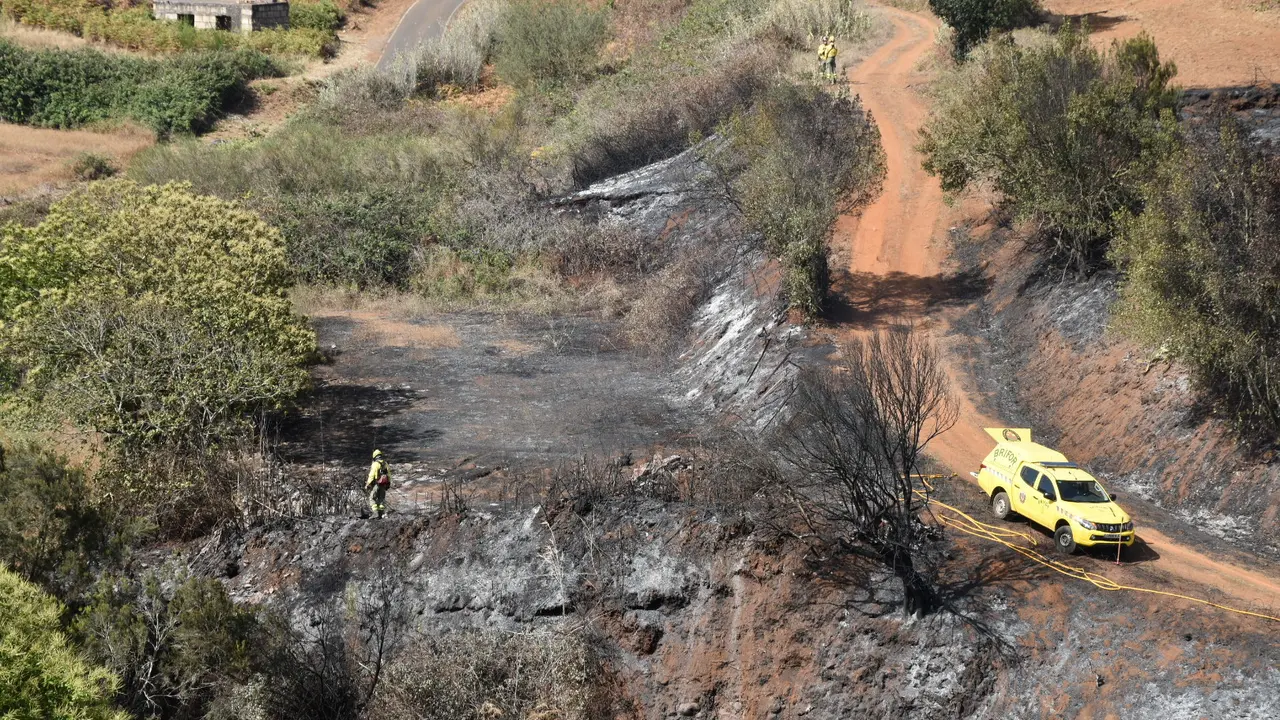 Investigaci&oacute;n incendios El Rosario (1)[83140]