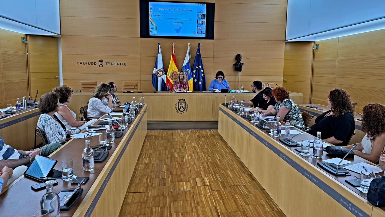 Mesa Insular LGBTQA+(1)