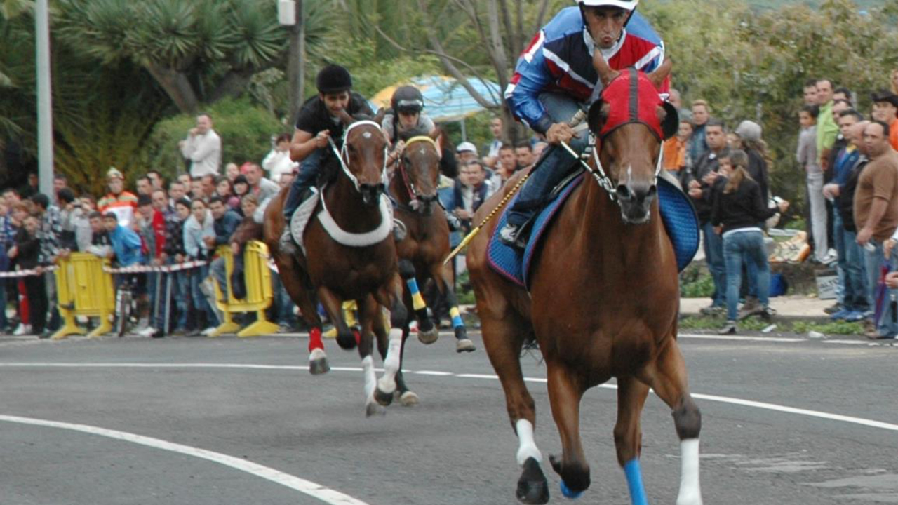 Carrera de caballos en Los realejos