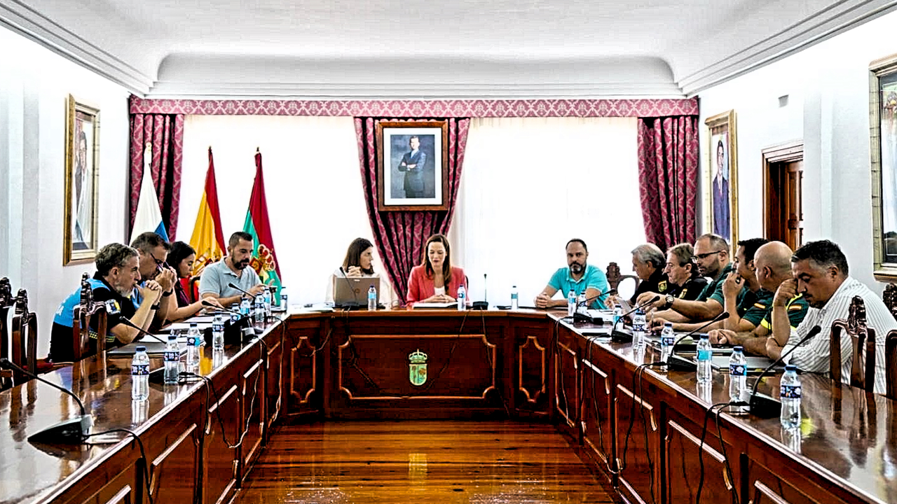 Arona Junta Local Seguridad