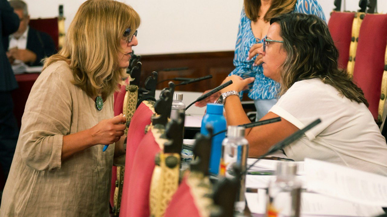 Idaira Afonso en el pleno municipal(1)