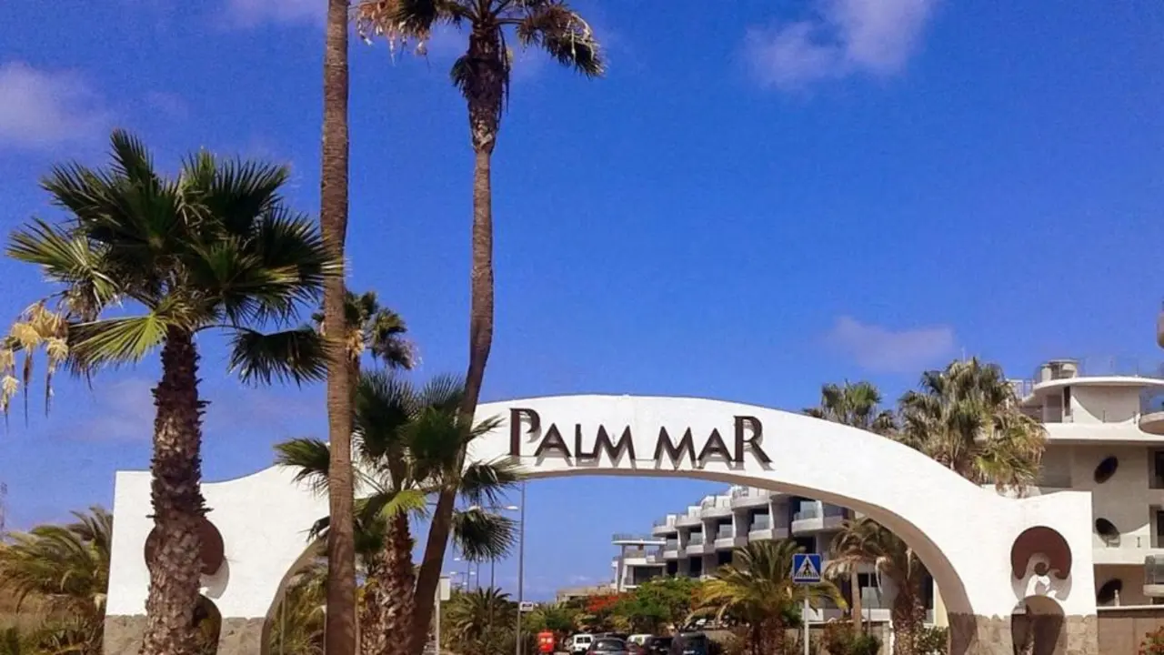 palma buena