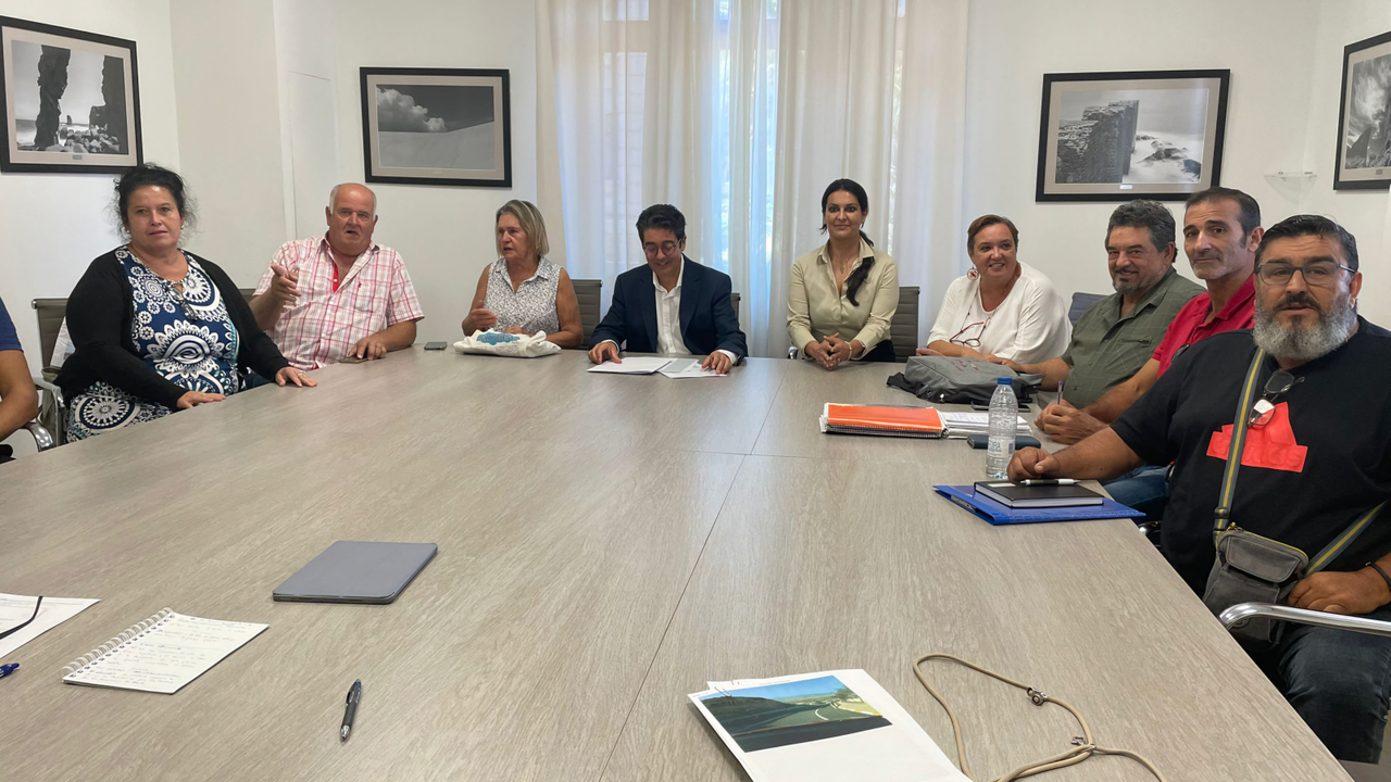 Vecinos G&uuml;&iacute;mar, Arico y Fasnia(1)