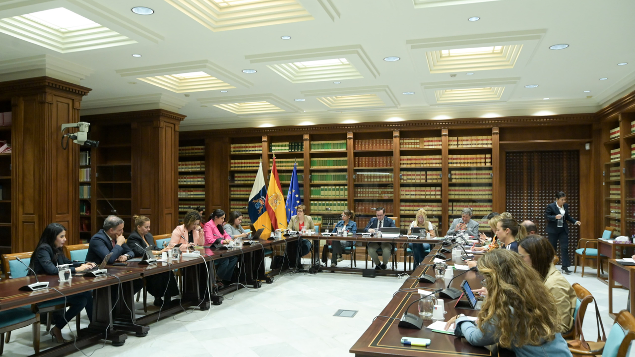 Delgado Comisi&oacute;n