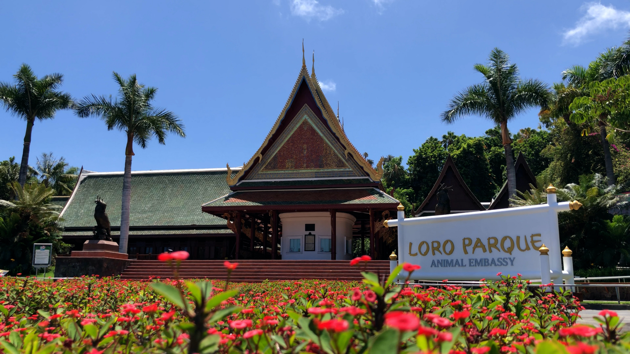 Entrada Loro Parque(1)