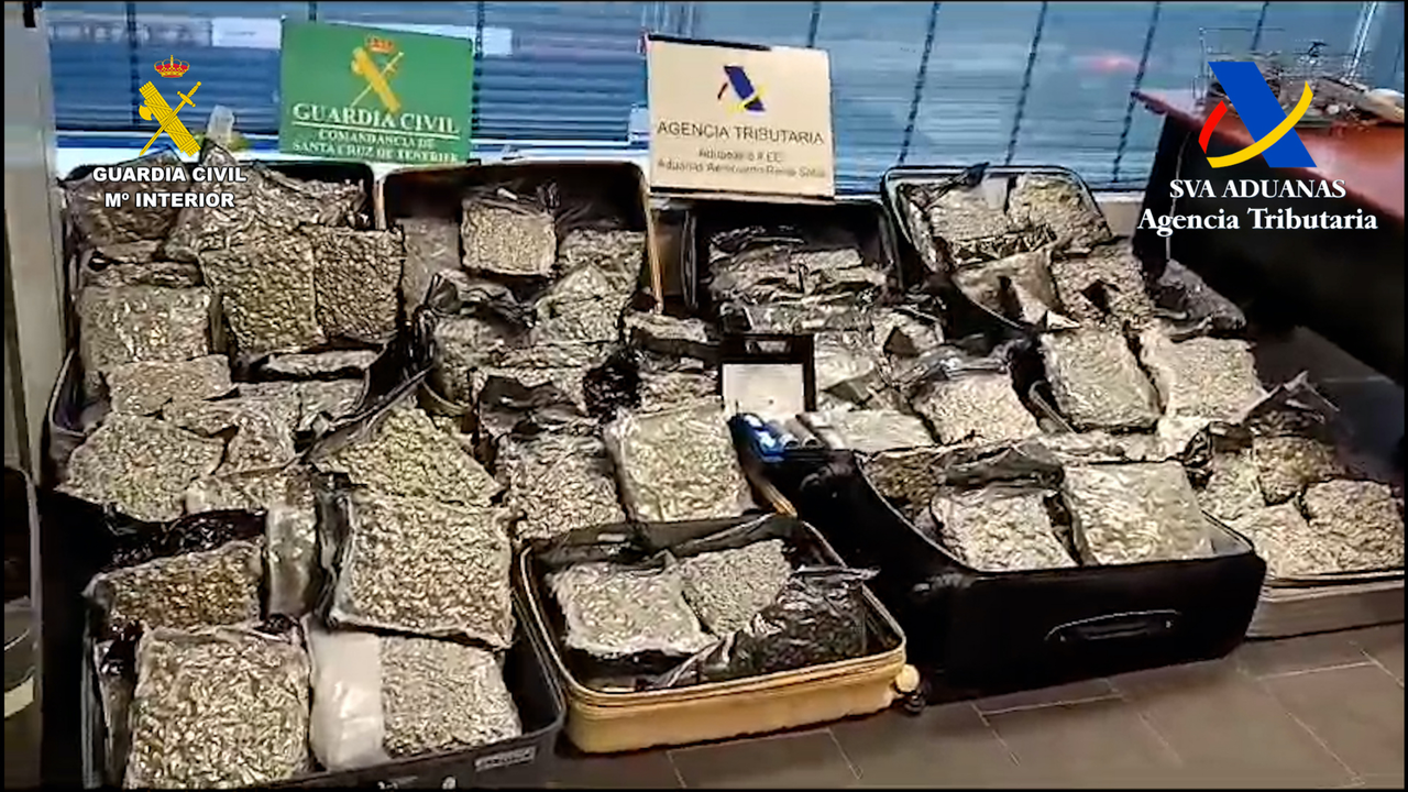 Marihuana aeropuerto sur 1-117(1)