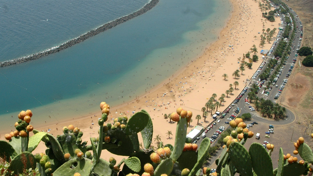 Playa de Las Teresitas(1)