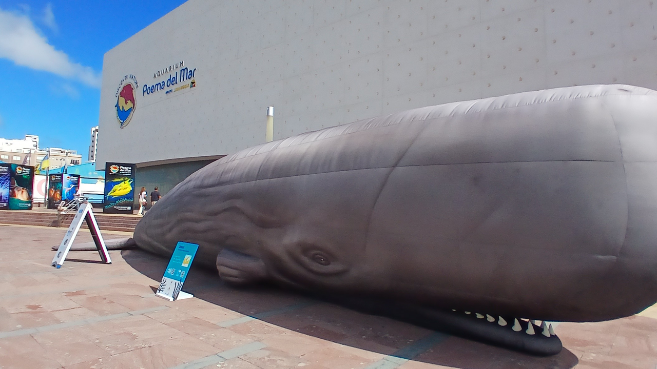Expo c&eacute;taceos Poema de Mar Loro Parque 1-118(1)
