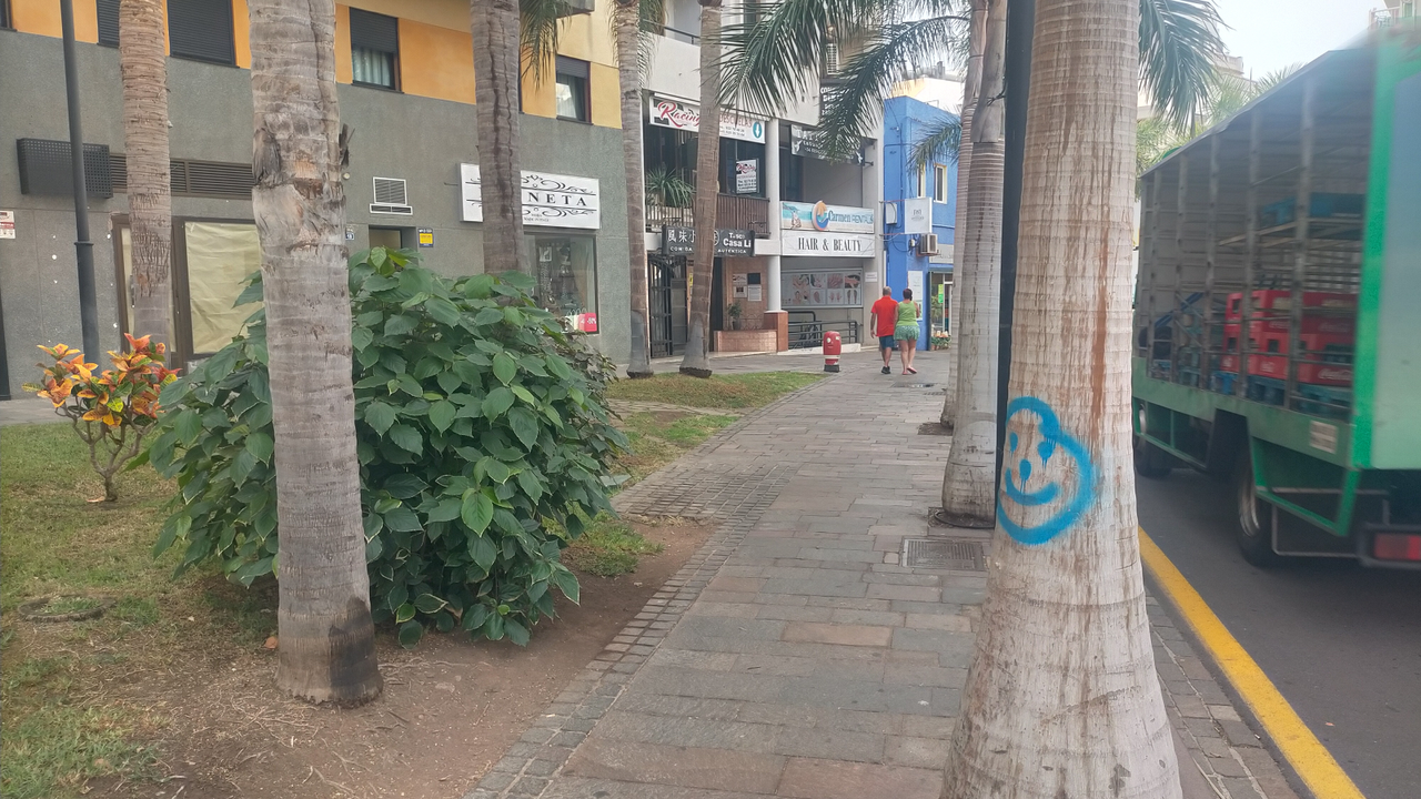 Calle Amalia Alay&oacute;n 102321(1)