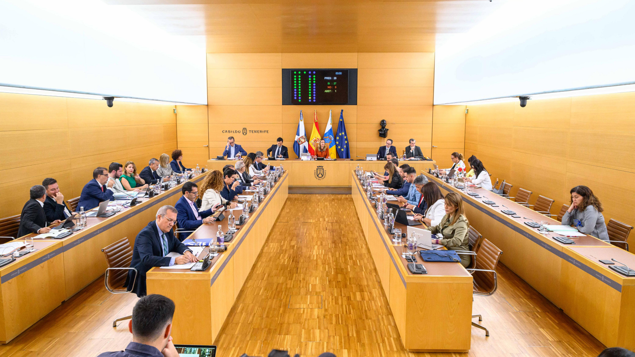 Cabildo Pleno-Alianza del Clima