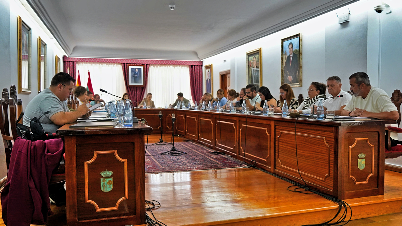 Pleno Arona 28.11.24